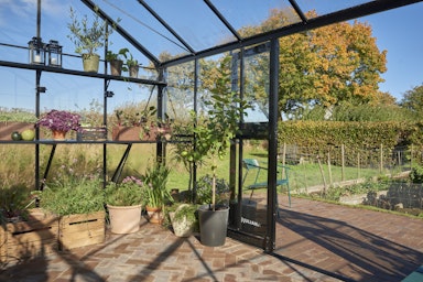 Gewächshaus im Herbst & Winter